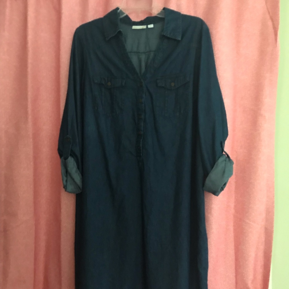 Women’s 1x Denim tunic dress